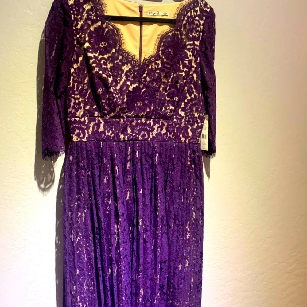 NWT Eliza J. Lace pleated dress, size 10